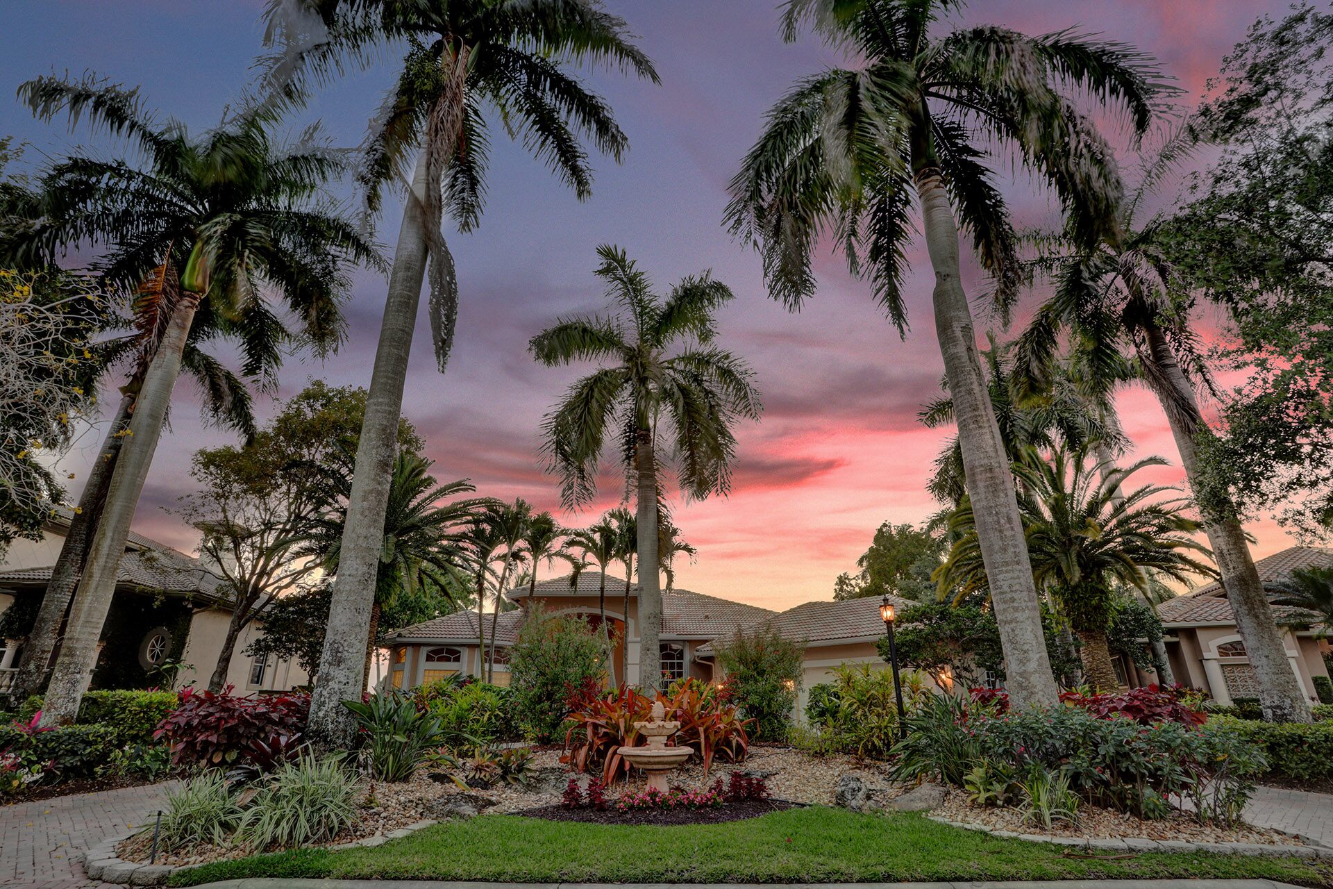 Palm trees at sunset in Heron Bay