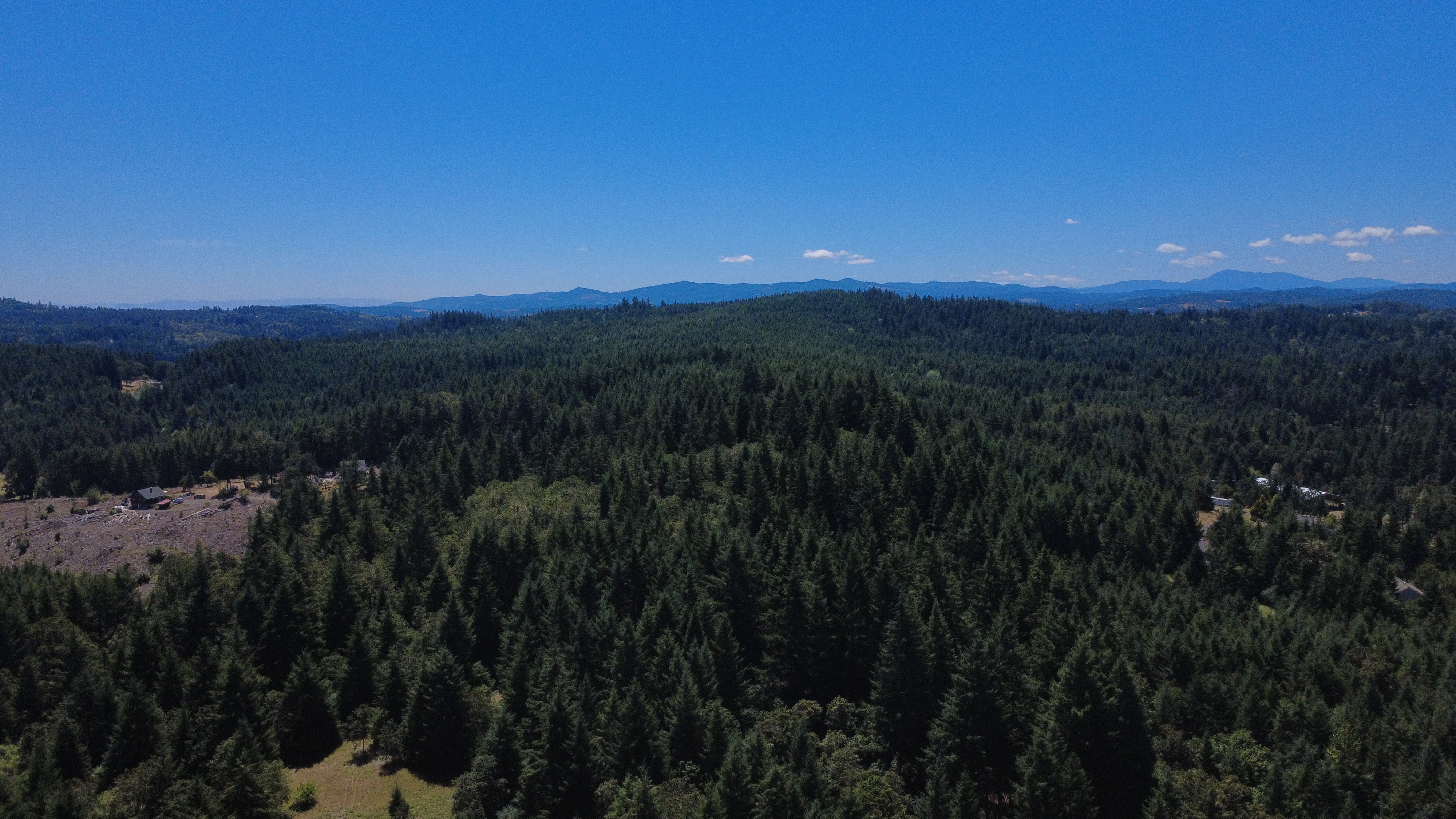 A beautiful landscape image showing a forested view of Polk County Oregon. Jordan Marx, Realtor and Agent in the Willamette Valley can assist.