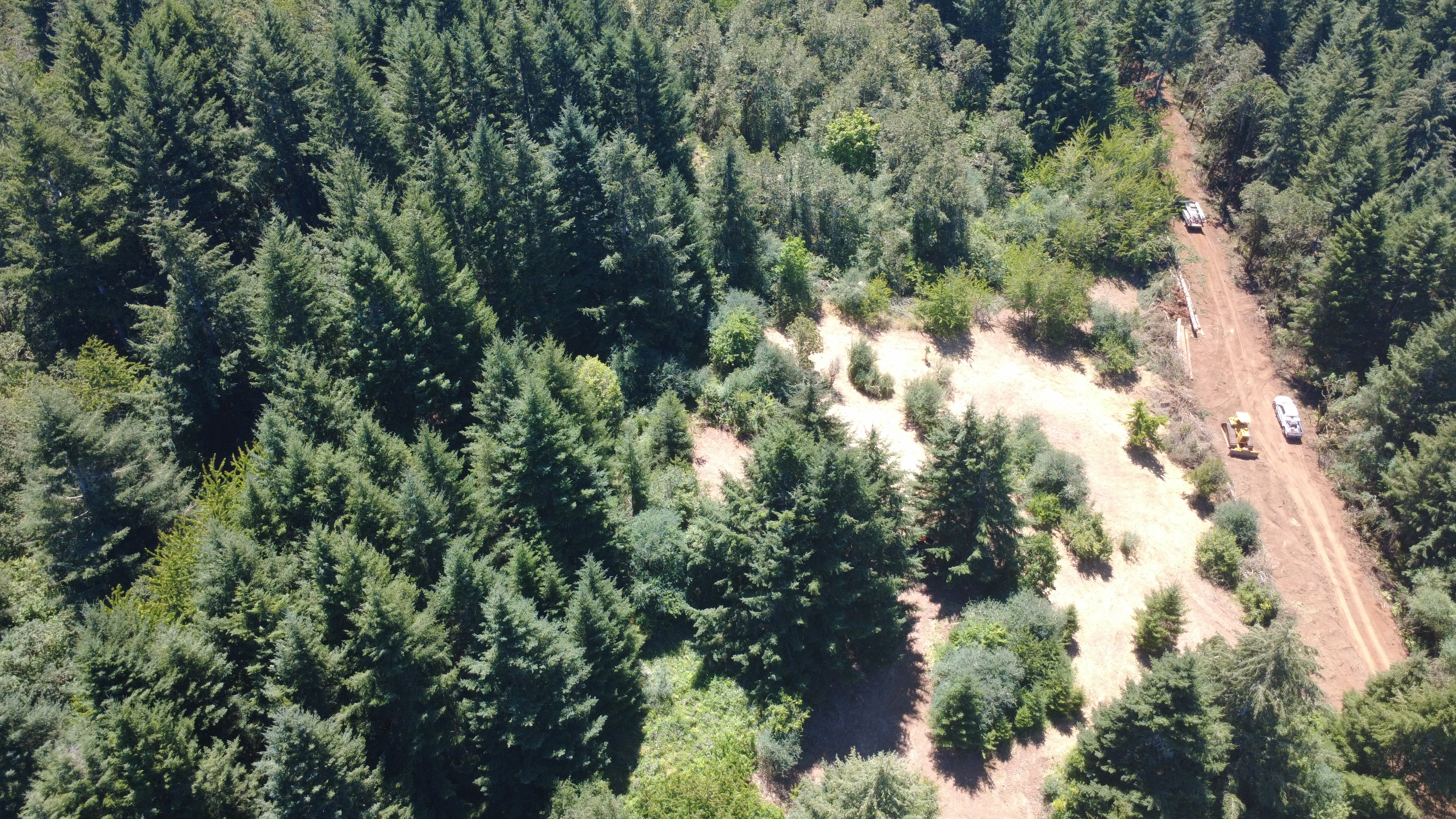 Top down aerial view of a possible build spot for Lot 2 in the Cooper Hollow RD, Dallas OR land segregation. 
