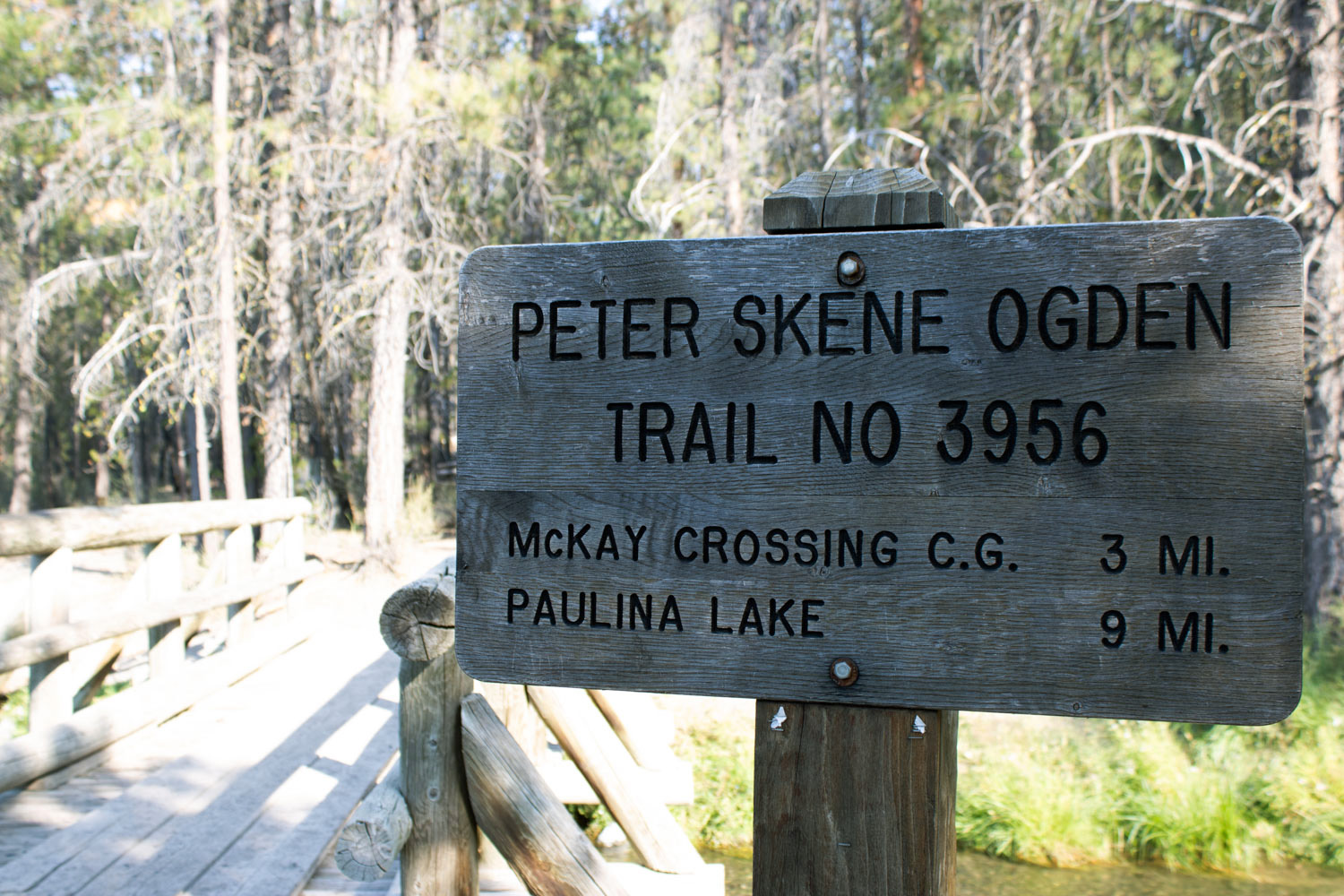 The Peter Ogden Trail. La Pine has famous public lands available for public use. The Pete Ogden Trail is an amazing hiking trail just ten minutes outside of town. The Peter Ogden Trail. La Pine has famous public lands available for public use. The Pete Ogden Trail is an amazing hiking trail just ten minutes outside of town.