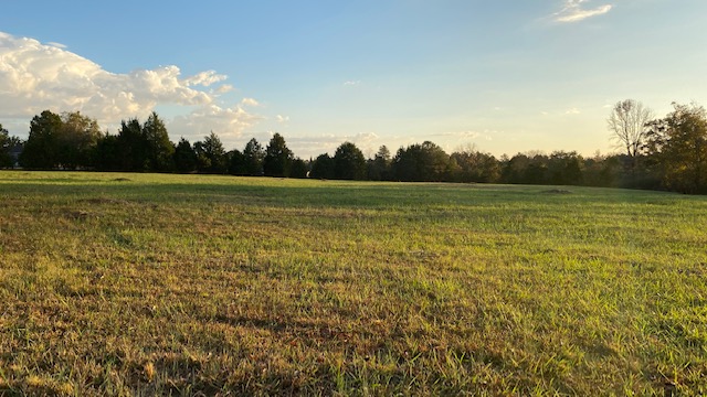 open field with green grass and trees open field with green grass and trees