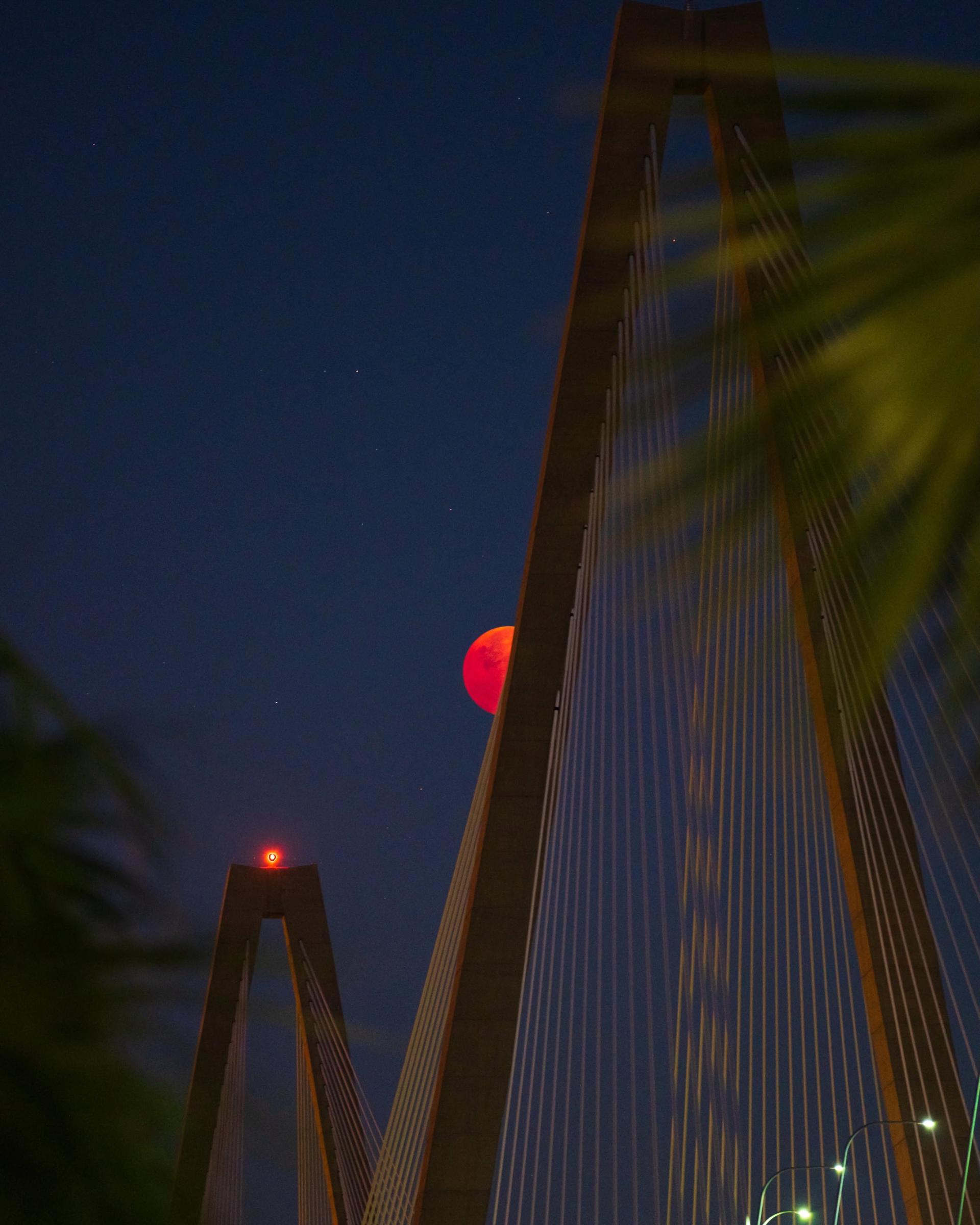 Ravenel Bridge illuminated over Mount Pleasant