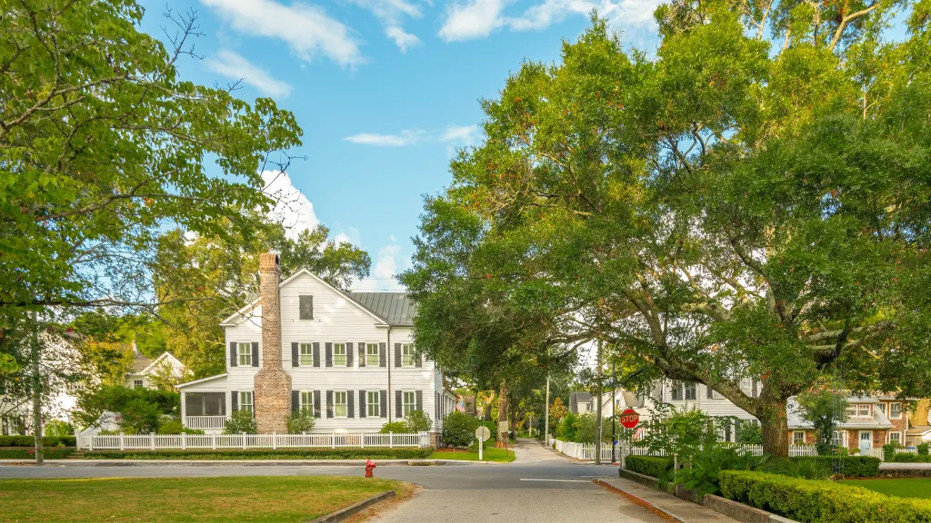 Tree-lined residential street in Old Village, Mount Pleasant, South Carolina