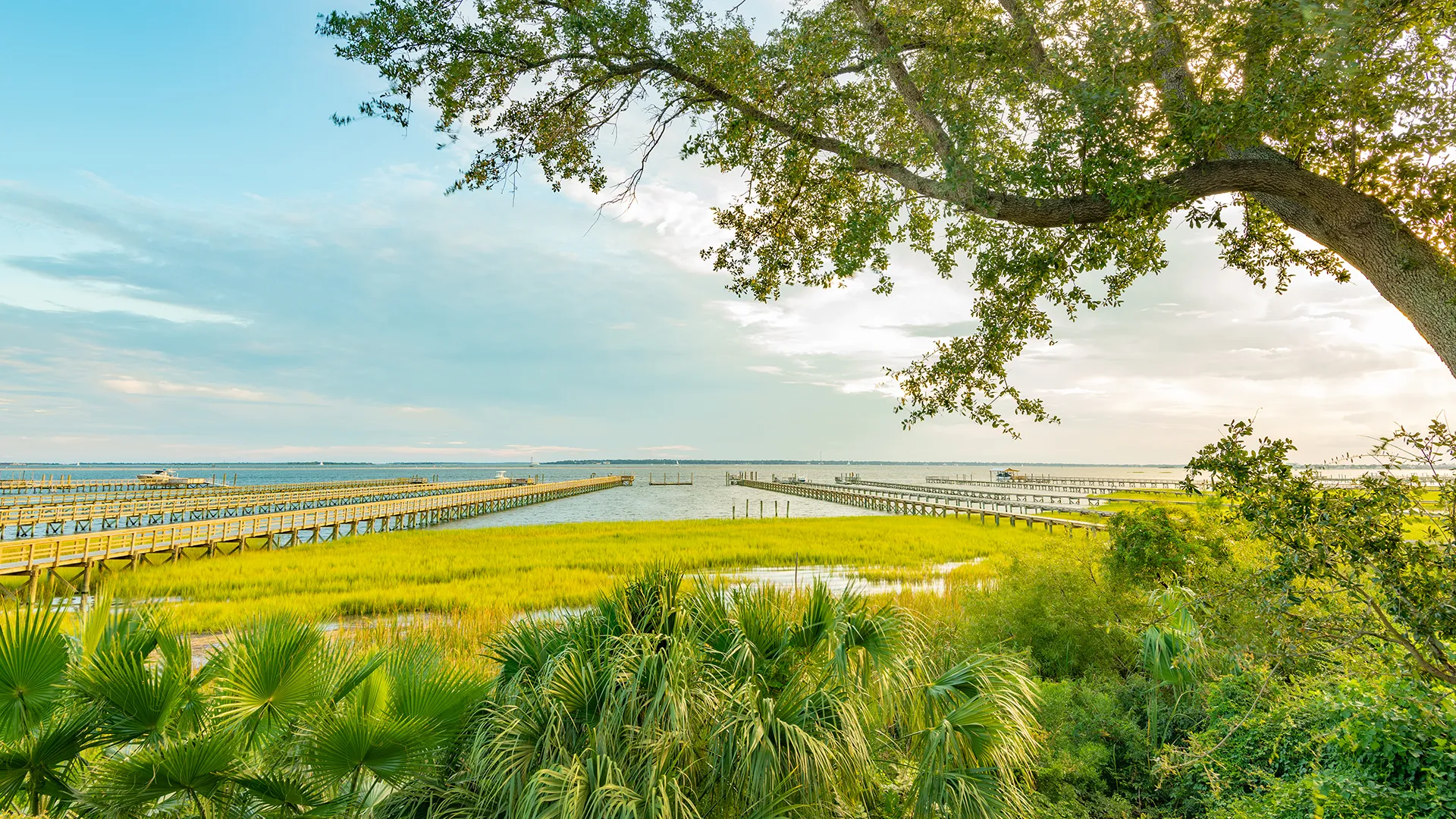 Landscape view of Mount Pleasant, South Carolina