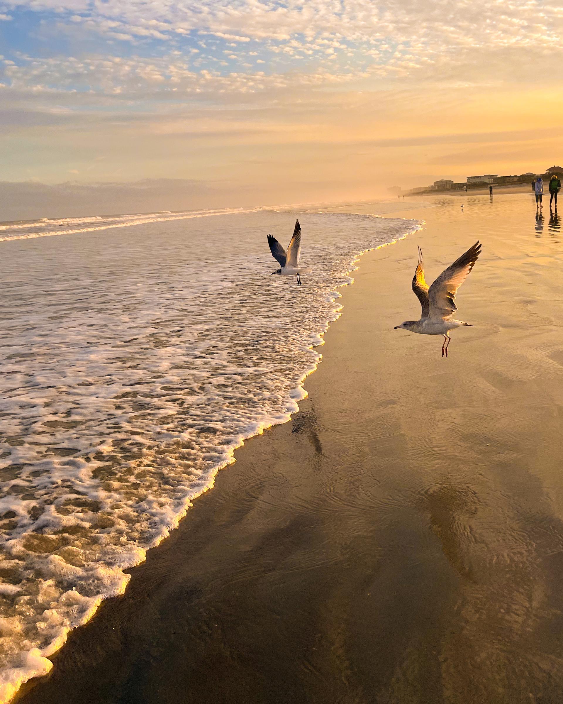 Luxury Charleston home and lifestyle imagery