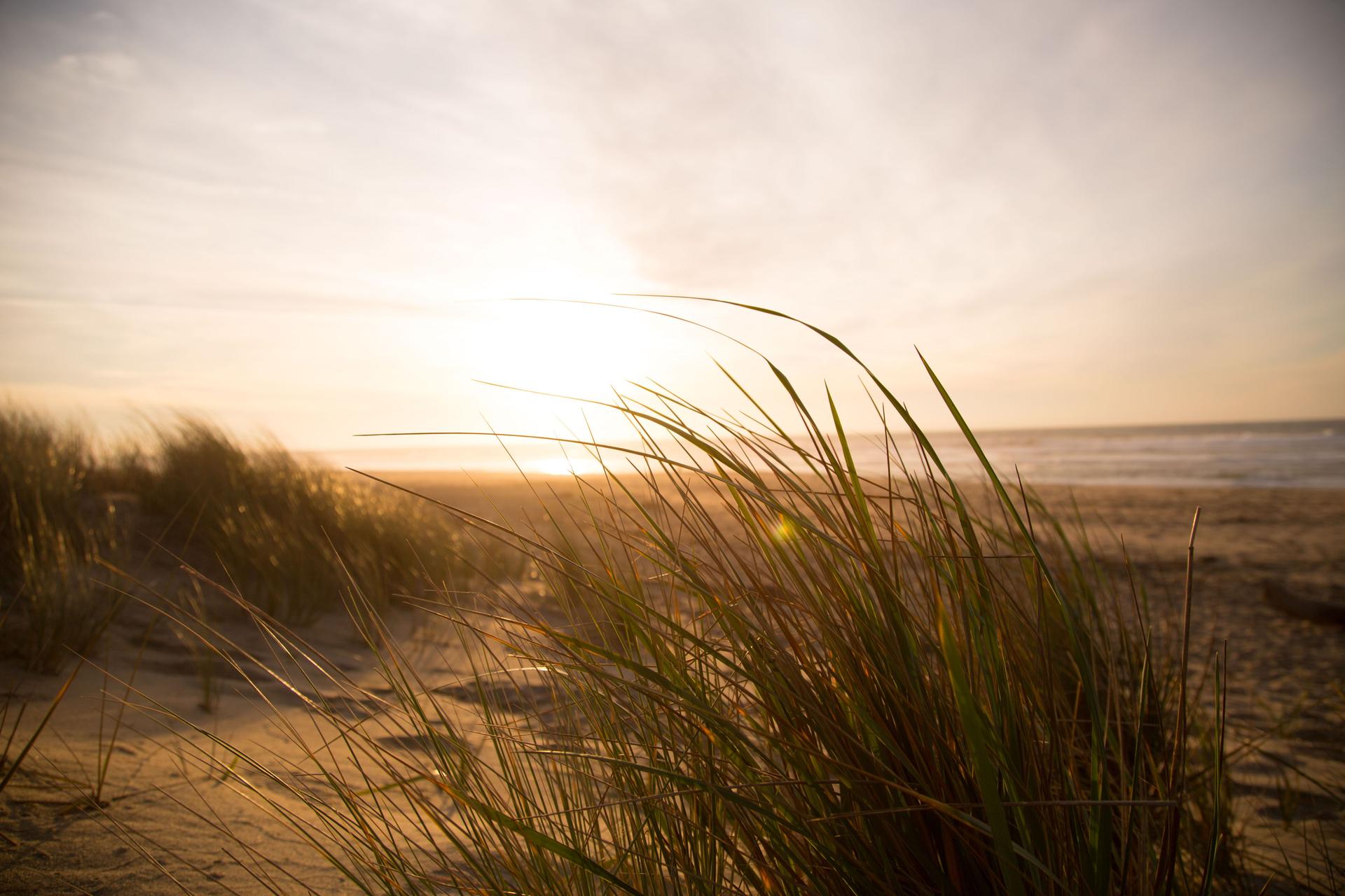 Isle of Palms South Carolina beach and oceanfront