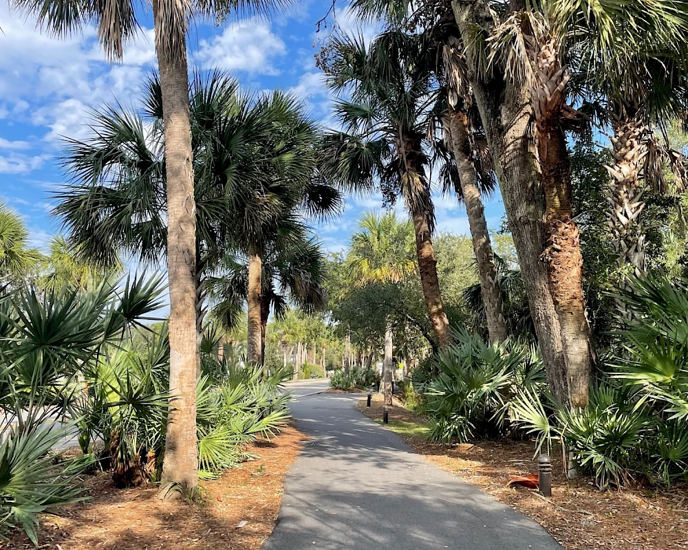 Palm-lined path in Wild Dunes on Isle of Palms, South Carolina