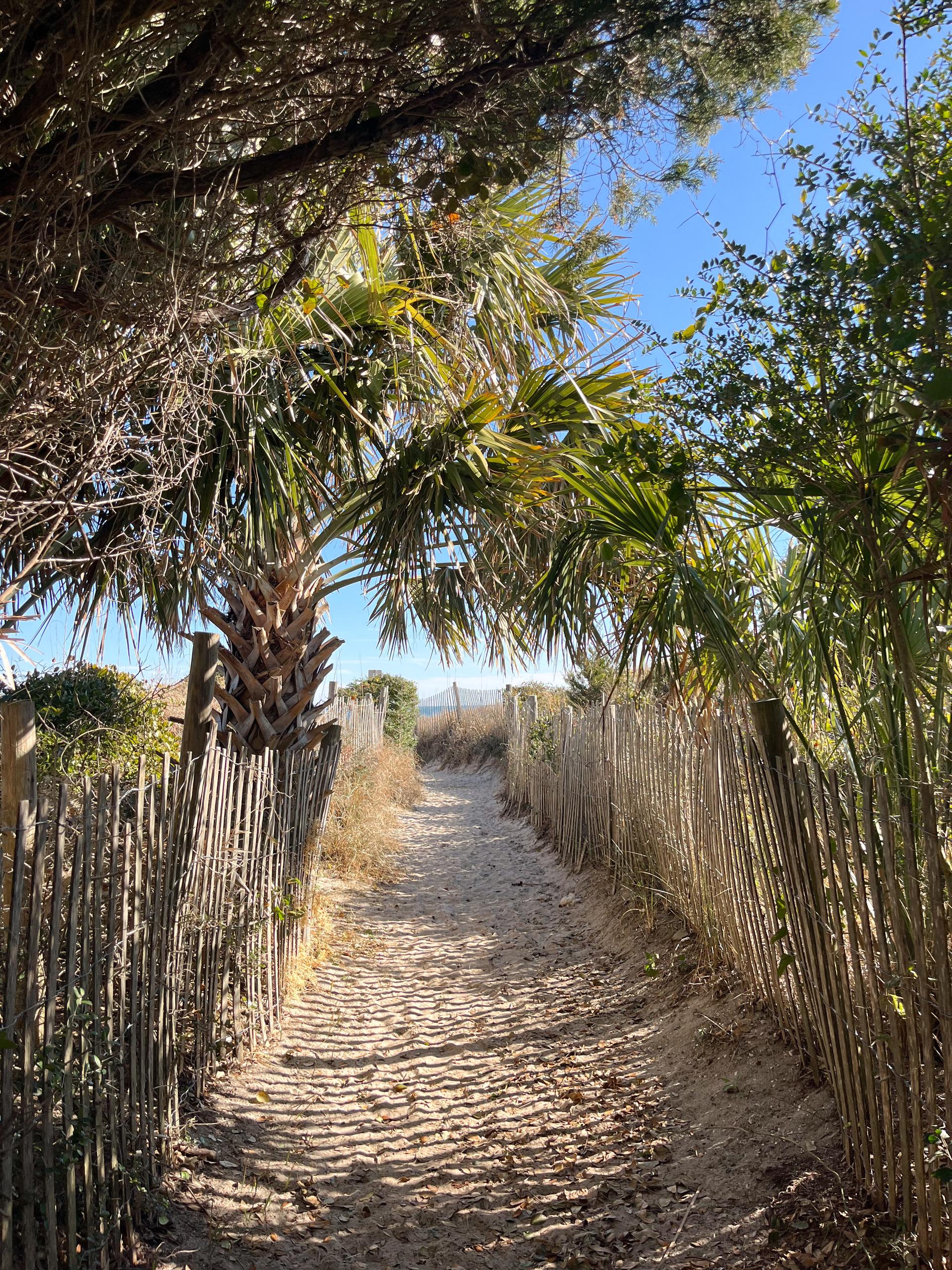 Coastal luxury real estate lifestyle in Charleston