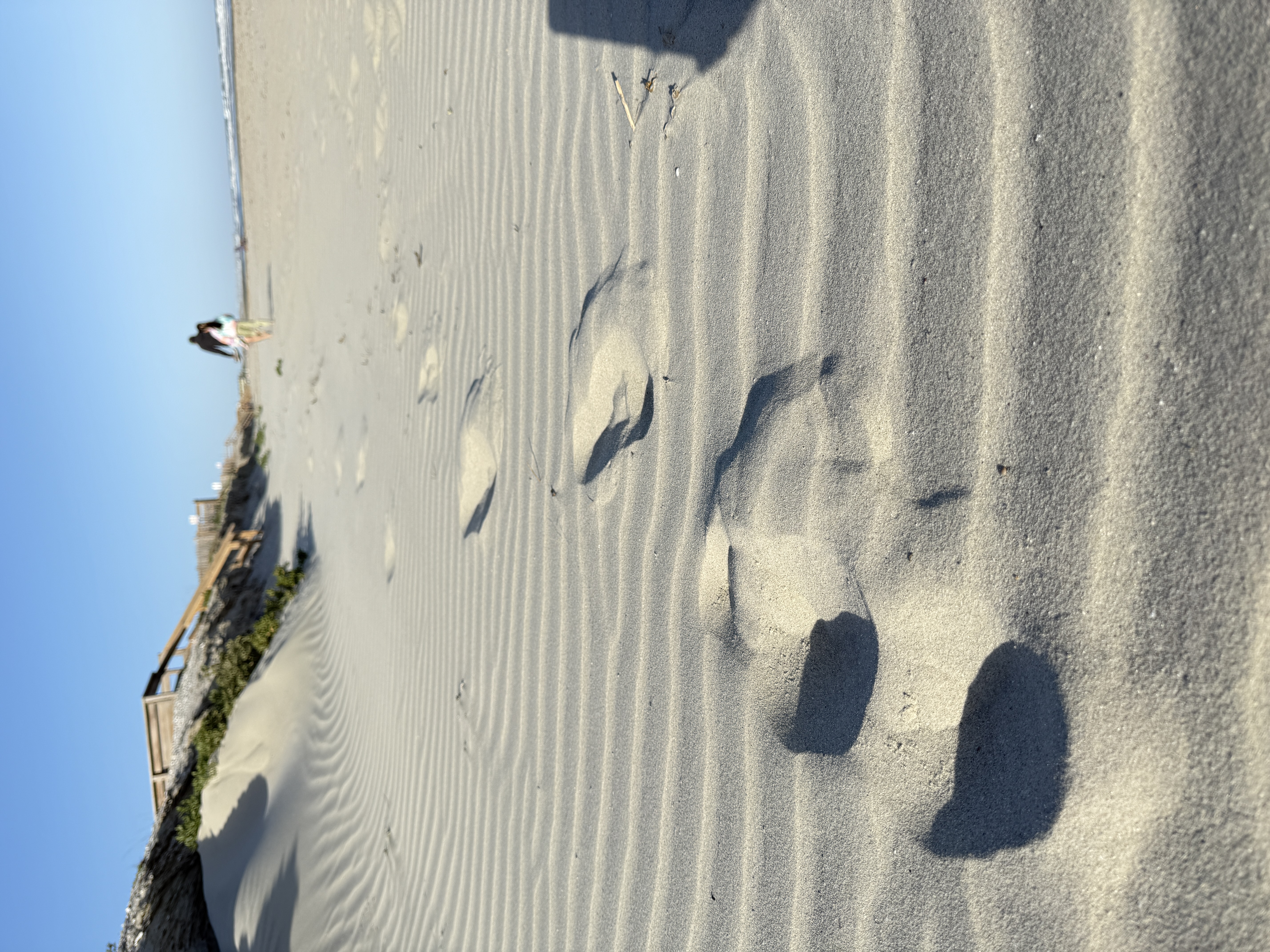 Gary Langhoff on Sullivan's Island beach in South Carolina