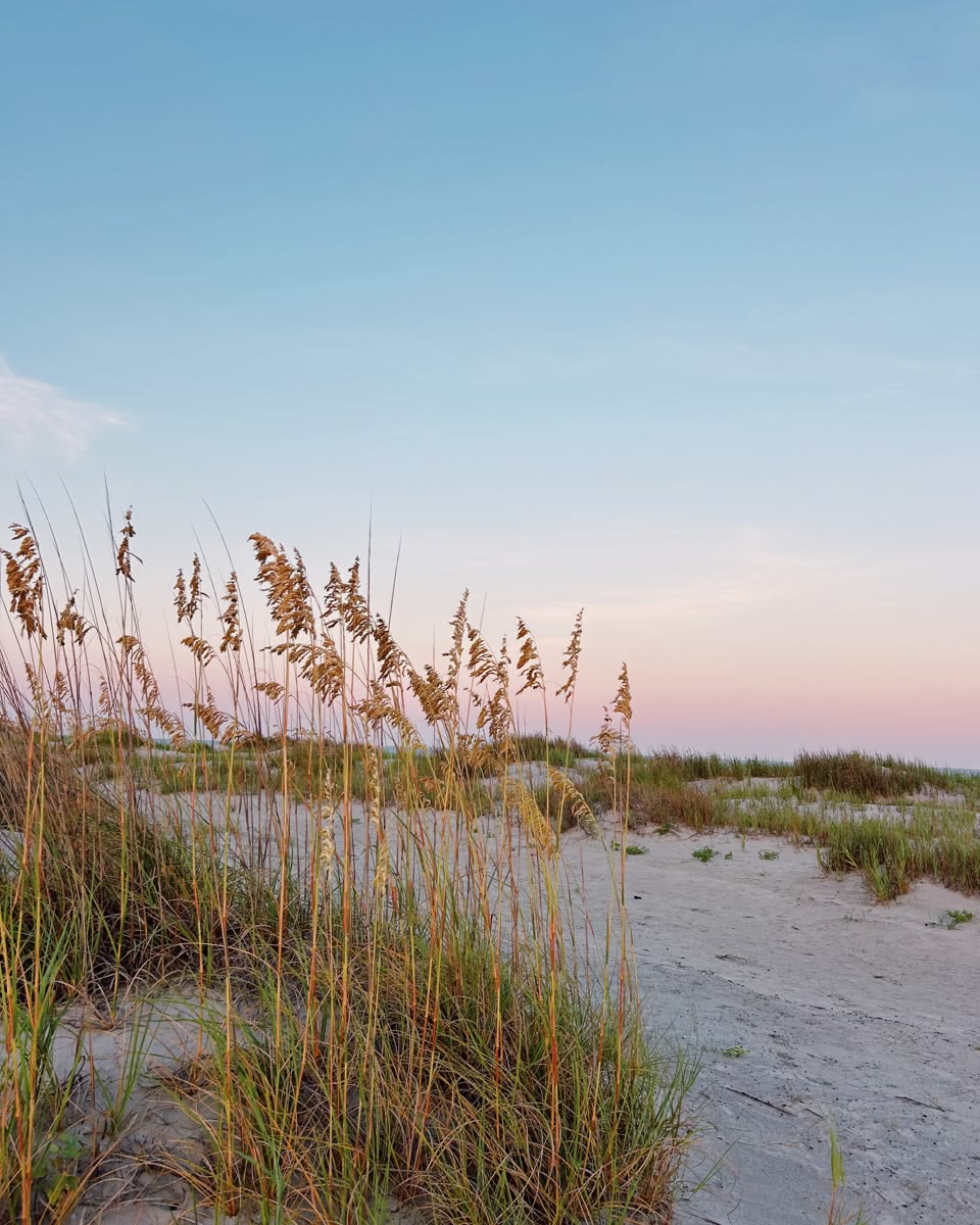 Sand dunes at Wild Dunes