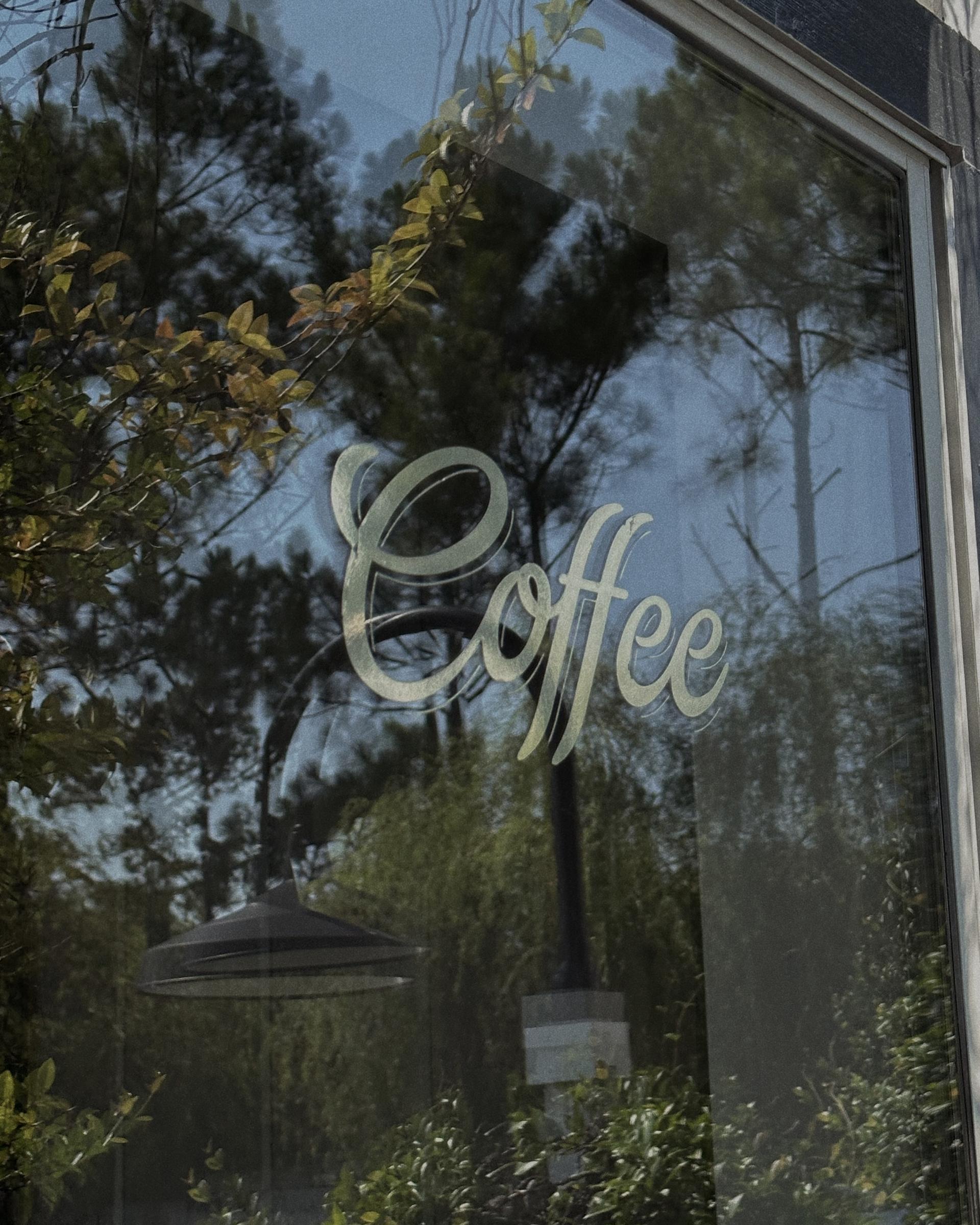 Coffee shop window reflecting the trees and neighborhood character of Old Village