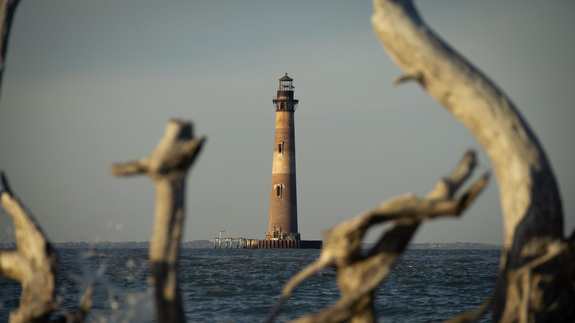 Lowcountry lighthouse viewed from a coastal landscape
