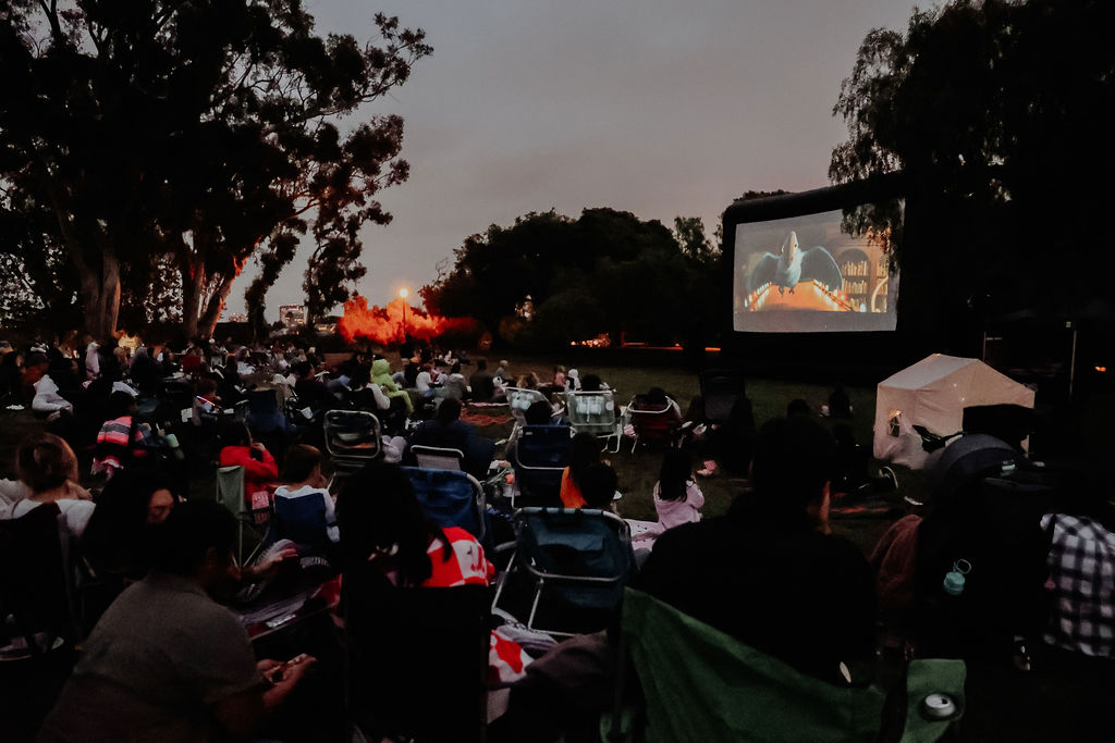 Movie Night 2026