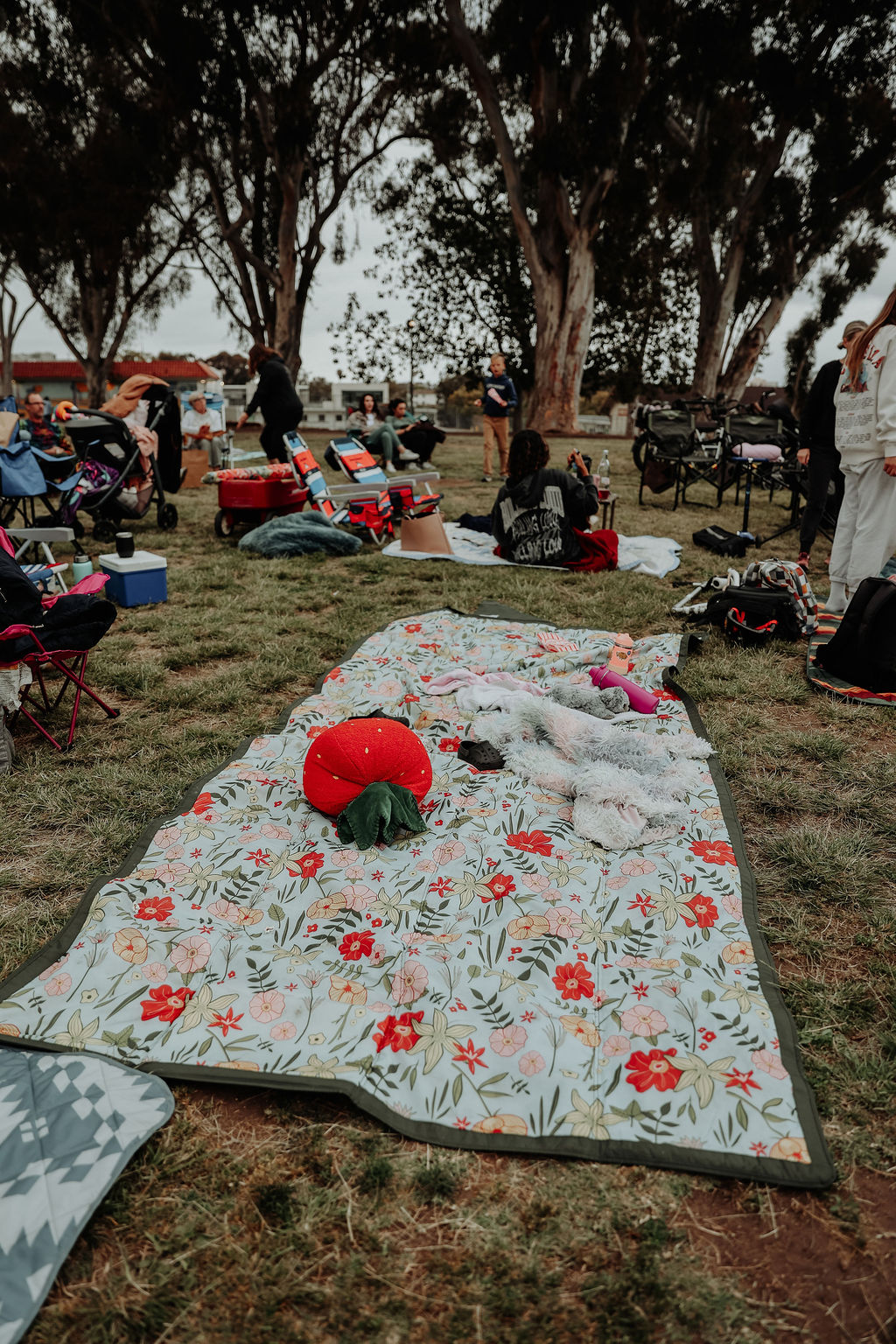 Movie Night 2026
