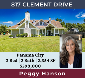 817 clement drive open house